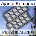 Ajanta Kamagra 07